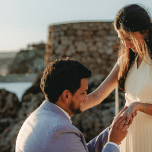 e-Book THE ART OF THE PERFECT PROPOSAL